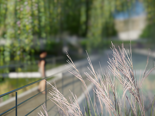 毕业设计-社区公园改造