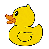 DDDucking的头像