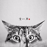 五只蚊子君的头像