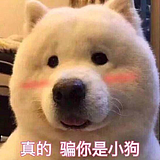 你要更美好的头像