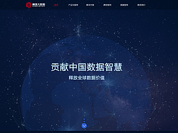 公司网页