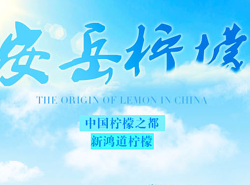 詳情頁改稿（個人主頁-ZMjMwMDgxNTI=） - 宣傳物料 - 站酷設(shè)計(jì)師小熊熊愛ps原創(chuàng)素材 - 站酷ZCOOL
