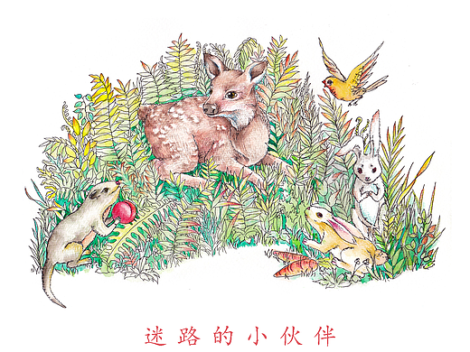 迷路的小伙伴