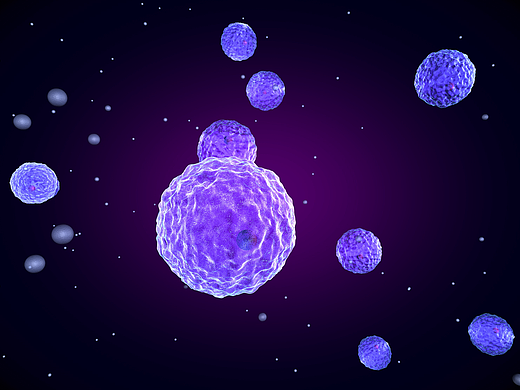 cell