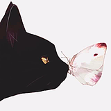 愫语的头像