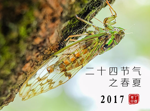 二十四节气之春夏