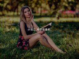 ipad小说类APP视觉界面