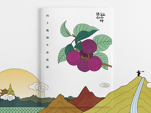 水果包装 远山小叶LOGO及包装方案