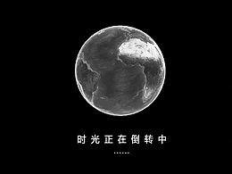 茅台贵州大曲H5（酒类）