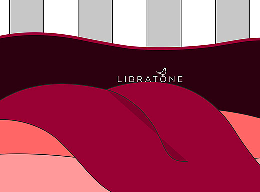 舌尖上的LIBRATONE-小鸟音响