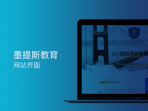 墨提斯教育网站界面