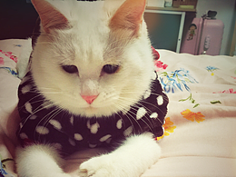 小伙子晋升老大叔