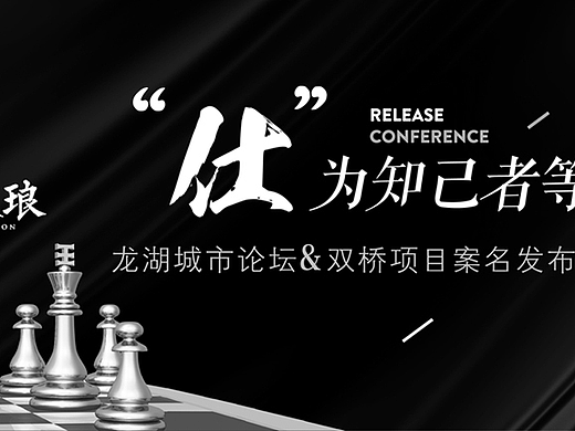 地产  项目 国际象棋 黑白色  龙湖城市 象棋 