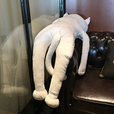 955ojbk的头像