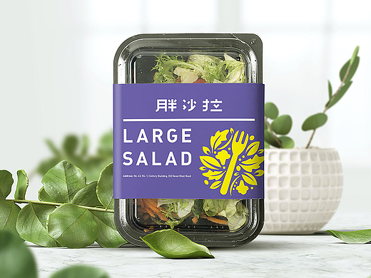 胖沙拉品牌&包装设计