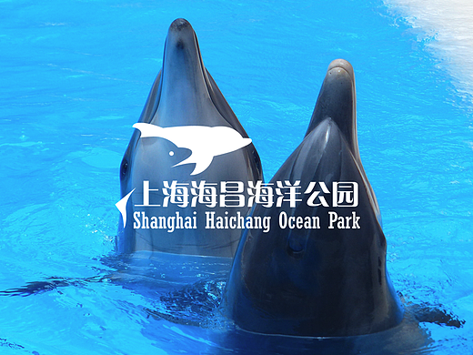 上海海昌海洋公园logo设计