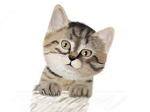 手绘猫咪