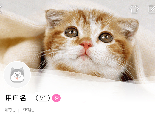 项目