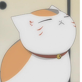 三猫猫三的头像