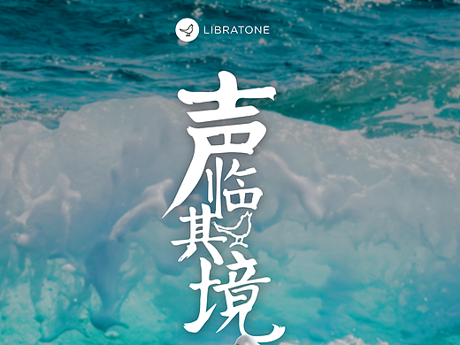 小鸟音响TRACK+耳机——声临其境，降噪从此更轻盈