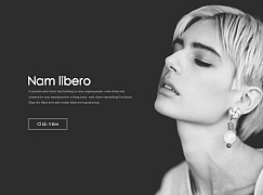 Nam libero - Web Design