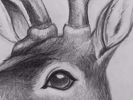 林深時(shí)見鹿（個(gè)人主頁-ZMjI3MzgzNjg=） - 繪畫 - 站酷設(shè)計(jì)師井閑原創(chuàng)素材 - 站酷ZCOOL