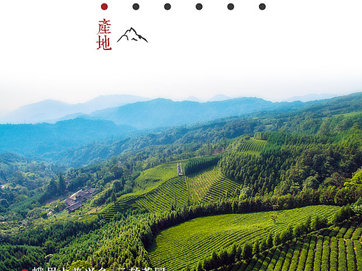 红茶电商设计