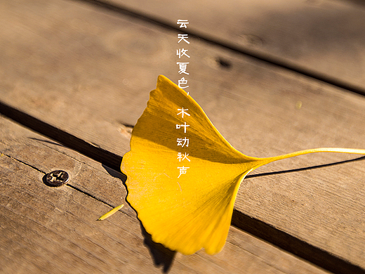 立秋