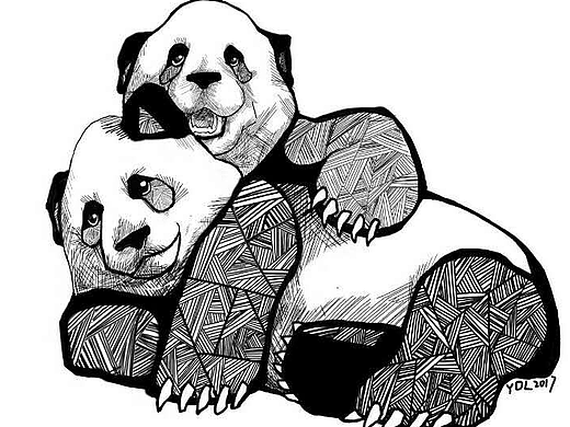 黑白装饰画
