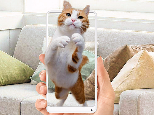 时刻能找到我的猫在哪里  视角广阔  看到更多