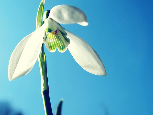 企业官网（个人主页-ZMjI1NzQ0NTY=） - 企业官网 - 站酷设计师幸运绿叶原创素材 - 站酷ZCOOL