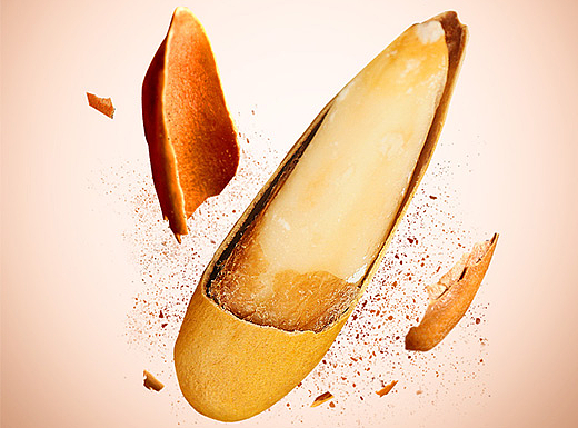 坚果详情-巴西松子