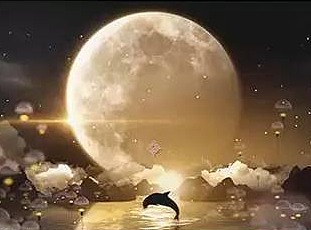 CUBE三周年♥原创教程礼包05_AE 电影台场景合成