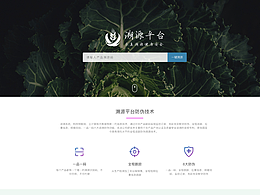 网页