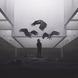 Wybies的头像