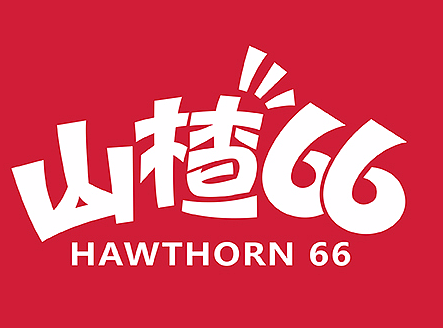 山楂汁品牌——山楂66产品设计