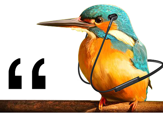 TRACK+ 声临其鸟（个人主页-ZMjc5NTAzNTY=） - 海报 - 站酷设计师太空森林原创素材 - 站酷ZCOOL