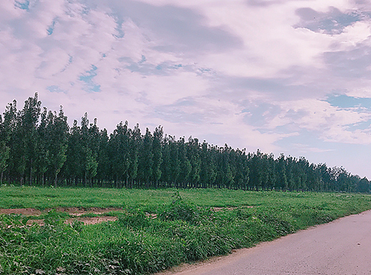 乡间的路 --蓝天白云（个人主页-ZMjMyMDYyODQ=） - 风光摄影 - 站酷设计师松鼠的梦原创素材 - 站酷ZCOOL