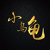龟龟了不起的头像