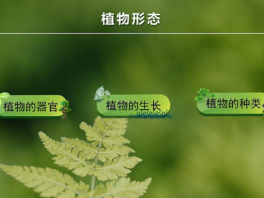 植物园互动游戏