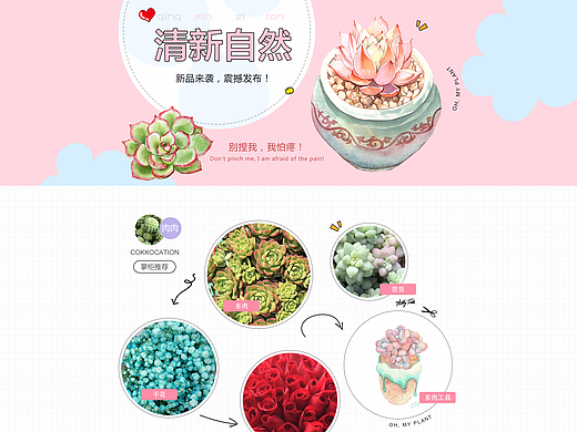 蔷薇的眼泪2花鸟园艺首页大水牛粉色系第一版多肉