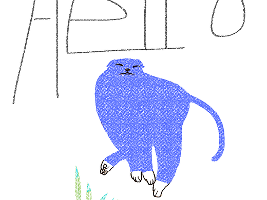 hello猫