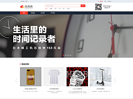 政府类门户网站