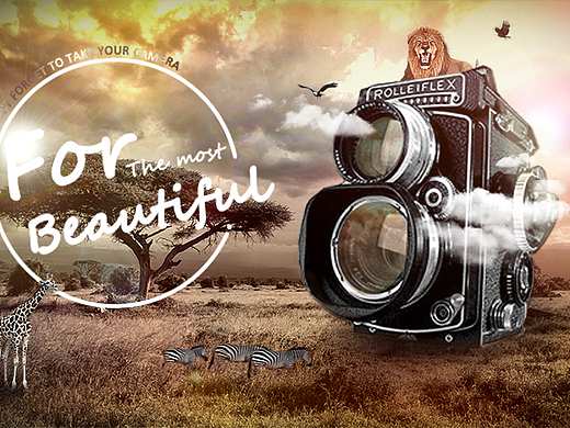 复古相机（个人主页-ZMjI0NDM3ODQ=） - 海报 - 站酷设计师Zcharlene原创素材 - 站酷ZCOOL