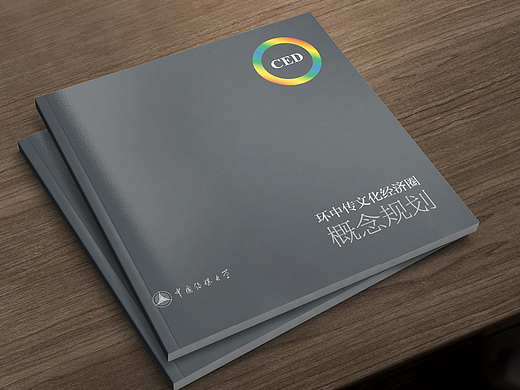 环中传经济圈概念规划