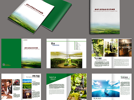画册（个人主页-ZMjMyMDkyODg=） - 书籍/画册 - 站酷设计师卡先生的幻想原创素材 - 站酷ZCOOL
