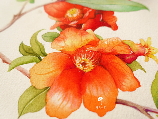 【水彩手绘】《石榴花》『蒲之未落水彩欣赏』
