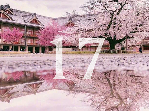 第17天#交互40天#健康界面