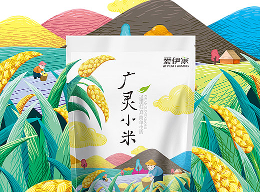 【食品包装】广灵小米包装设计