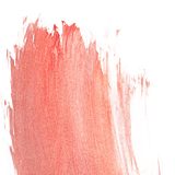 蕪蕪的头像